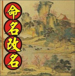 2019年出生的宝宝如何按生辰八字取名,八字身旺的人怎么起名 