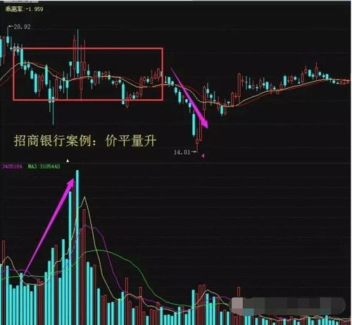 我想拿1000块出来学炒股，不管亏损。该怎么做