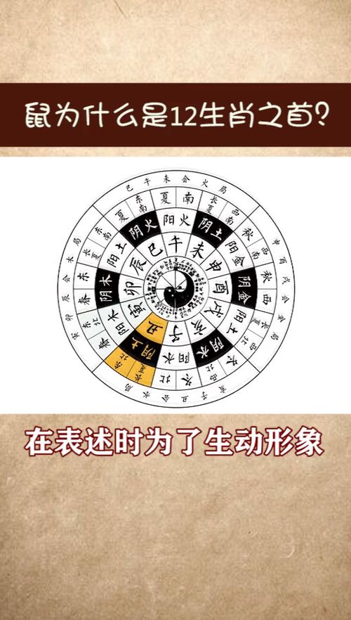 生肖 冷知识 涨知识 奇闻奇事 有趣冷知识 