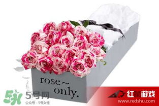 roseonly鲜花多少钱 roseonly永生花多少钱