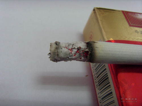 黄鹤楼，诗意盎然的历史文化地标 - 4 - 635香烟网