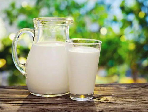 牛奶喝得越多越好 喝牛奶犯三个错,等于 白喝 了,别傻傻犯错了