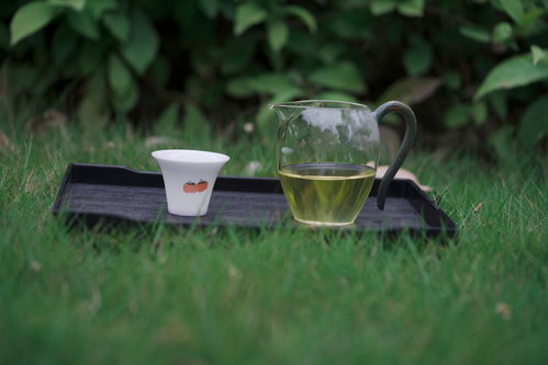 小喜年 泡一杯好喝的绿茶很难吗 送你几点实用的冲泡技巧