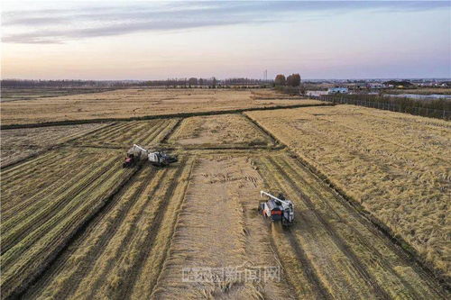 在一般农田建农产品加工厂可以吗