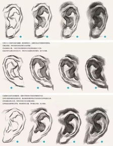 教程 素描头像五官细致刻画,进来拿走