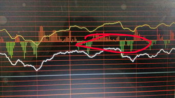 大盘分时图中的红绿柱代表什么啊