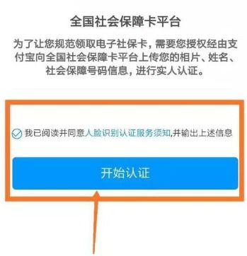 查养老保险费怎么查手机上怎么查询养老保险