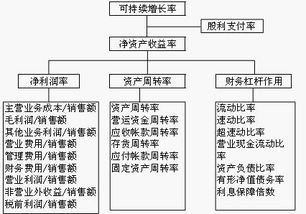 杜邦分析体系和帕利普财务分析体系有哪些联系和区别