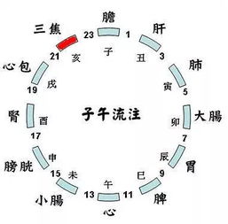 阿姨来了提示 宝妈最容易闯的6个育儿误区