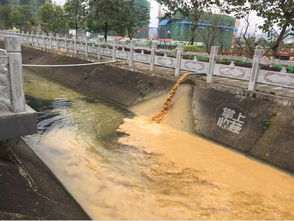 桂林这条水沟有没有人管管 路过的人都忍不住想吐