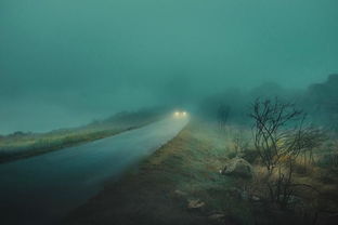 他专拍浓雾中的夜行的汽车,给人异样的感觉
