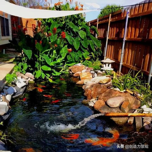 庭院设计 庭院观赏鱼池怎么打造 这样来设计,不仅寓意好还美观