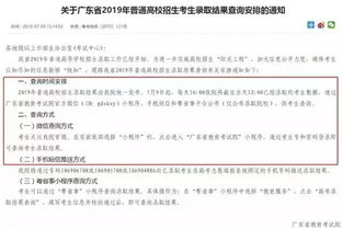 招生考试报名网(研招网 全国31省招办官方社交平台账号名单一览)