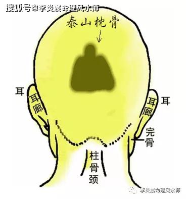 耳后有骨隆起面相- 图片搜索