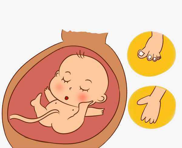 围孕小课堂|“阳康”后的备孕期需要注意些什么？