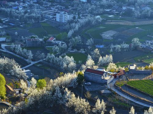 不去九寨不去稻城,这个夏天想和你去四川这4个地方,一辈子值得去一次