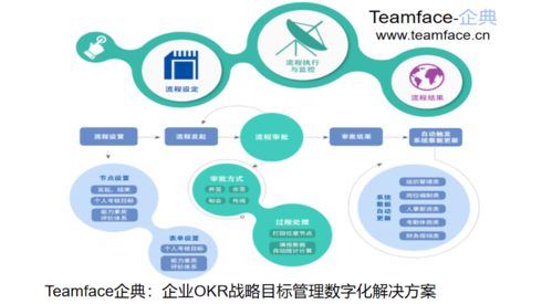 哪些企业适合使用HR人力资源管理系统