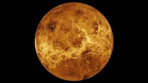 金星进入金牛座 爱情财富两得意的黄金期来咯 附十二星座指南