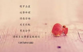 日运 11月8日星运势 狮子节制娱乐应酬,单身水瓶情运转好 