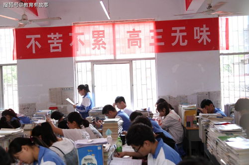 今年河南省高考的复读学生有多少人