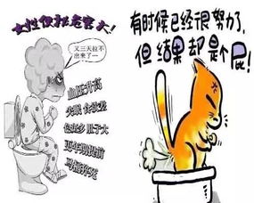 便不出 试这个