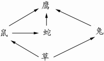 手机东方财富通怎么看保荐机构