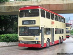 香港巴士支付时需要注意哪些事项？