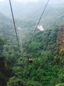 青城山哪个停车场离入口近(青城山附近有免费停车场吗)