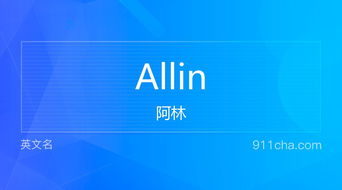 海运费allin是什么意思啊（海运费allin是什么意思啊） 第1张