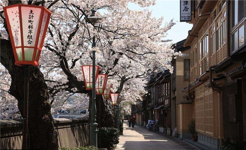 日本留学 管理学相关专业包括哪些专业