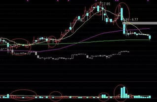 高度控盘5.47主力出货5.47是什么意思