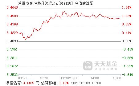 浦银安盛消费升级混合是什么意思