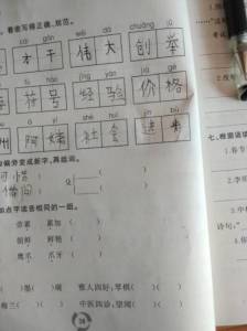 殳能加什么偏旁在组词 