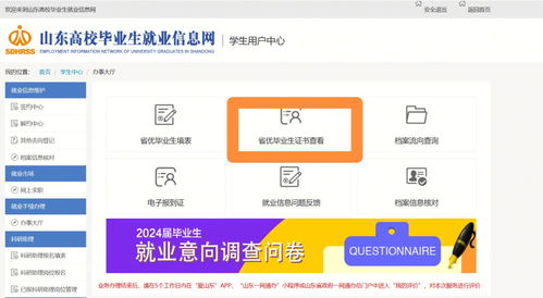 山东大学生就业信息网(山东高校就业信息网可以随便填吗)