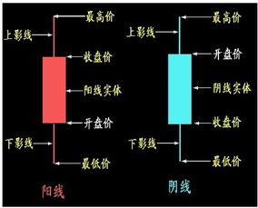 股票是怎么搞的？（越详细越好）