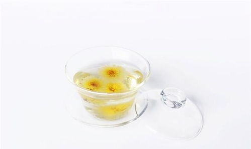 晚上喝菊花茶对身体会有哪些影响