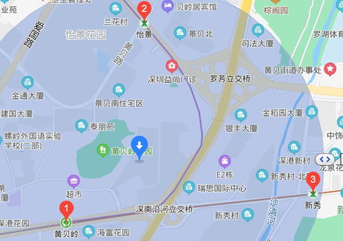 深圳老街新市市集在哪里 地址 交通 