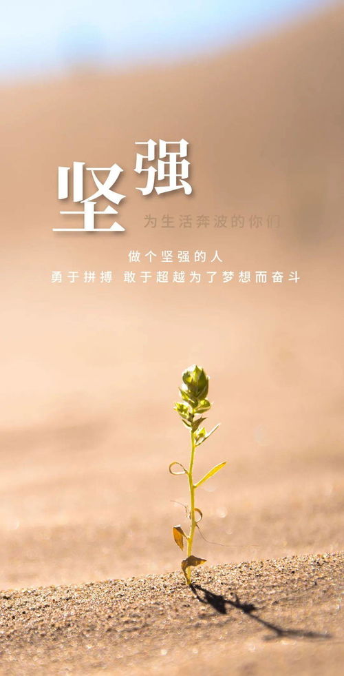 励志舞蹈素材背景_舞蹈进步一点点励志句子？