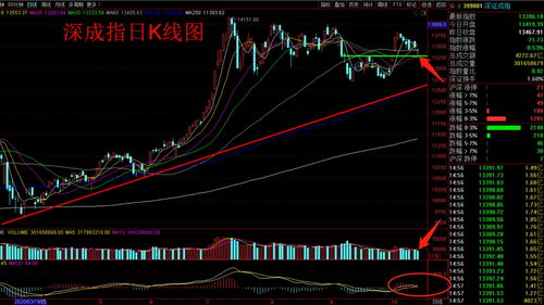 怎么选出每天收盘后下影线最长的股票，并且可以以此排列