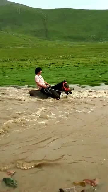 这样骑马过河,难道不危险吗 