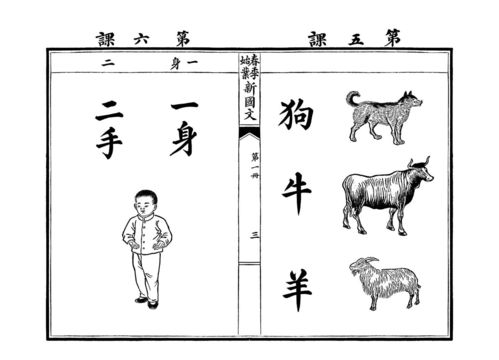 生活常识汉字教学(生活常识字少)