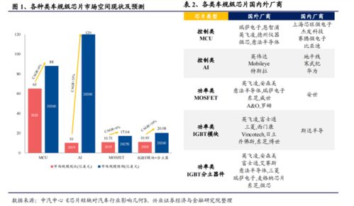 一文了解绿色查重：为什么你的内容需要它