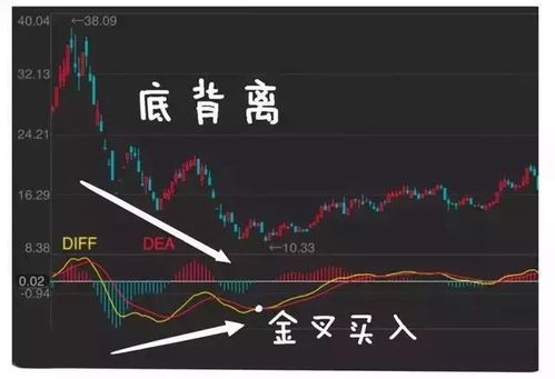 指标之王macd的使用方法