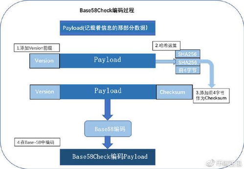 比特币隔离见证_比特币1和3开头的地址区别