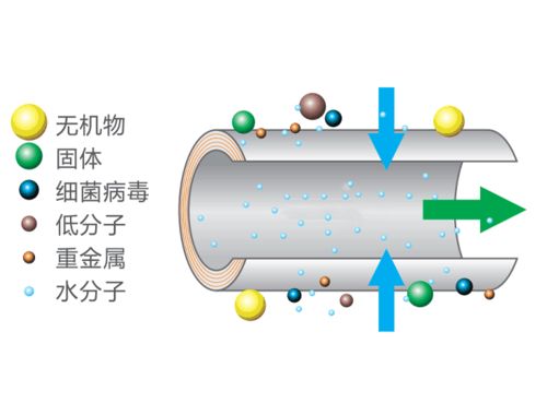 饮用软水机或RO机过滤的水 对人体有什么影响吗