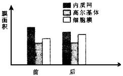 高考生物知识点总结 细胞器的结构和功能 考点强化练习 2019年练习版 高考生物题库 91考试网 