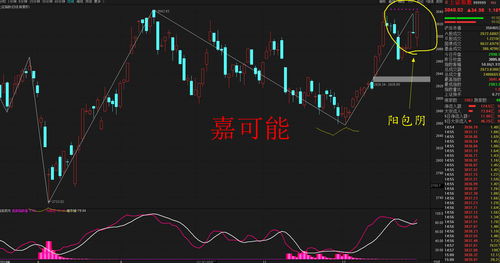 2022年12月份上证指数强势上涨经济真的好了吗