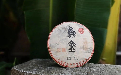 厨心熟茶 我们的茶品名字,你读懂了吗