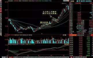 怎么查股票投入的总本钱