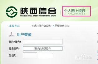 农村信用社网上银行余额如何查询 
